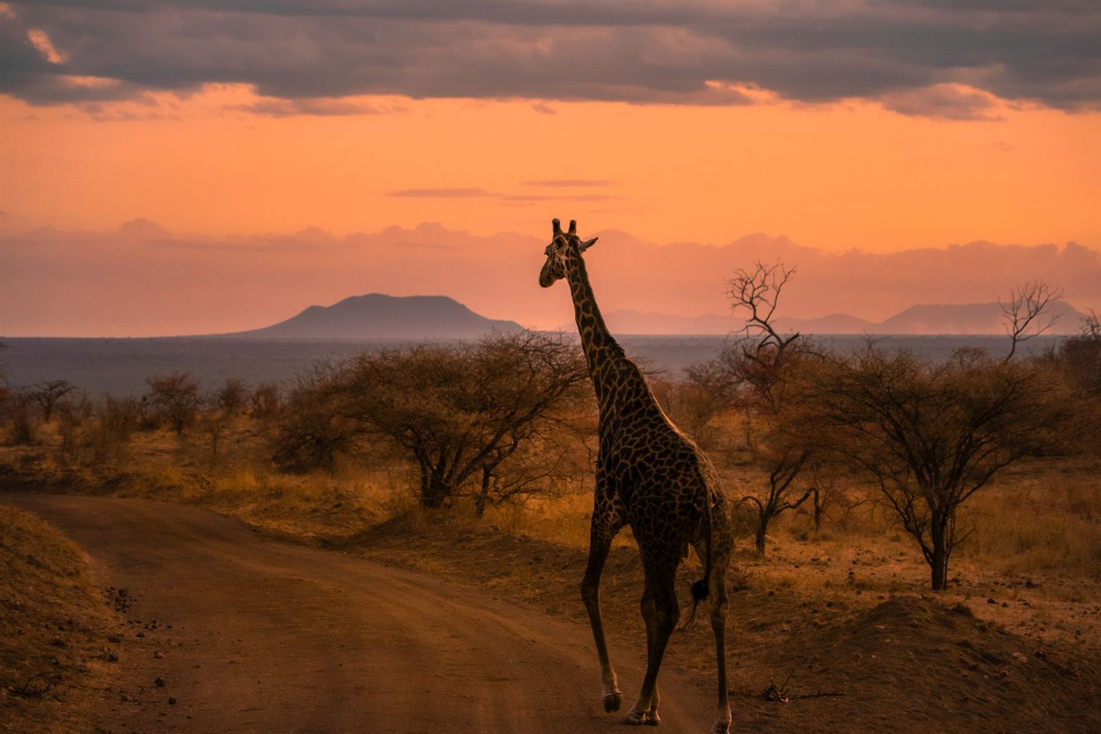 3 Days Tsavo East & Tsavo West